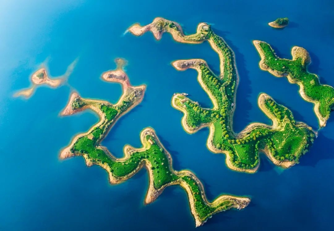 湖上茶园 余诗祥摄.jpg